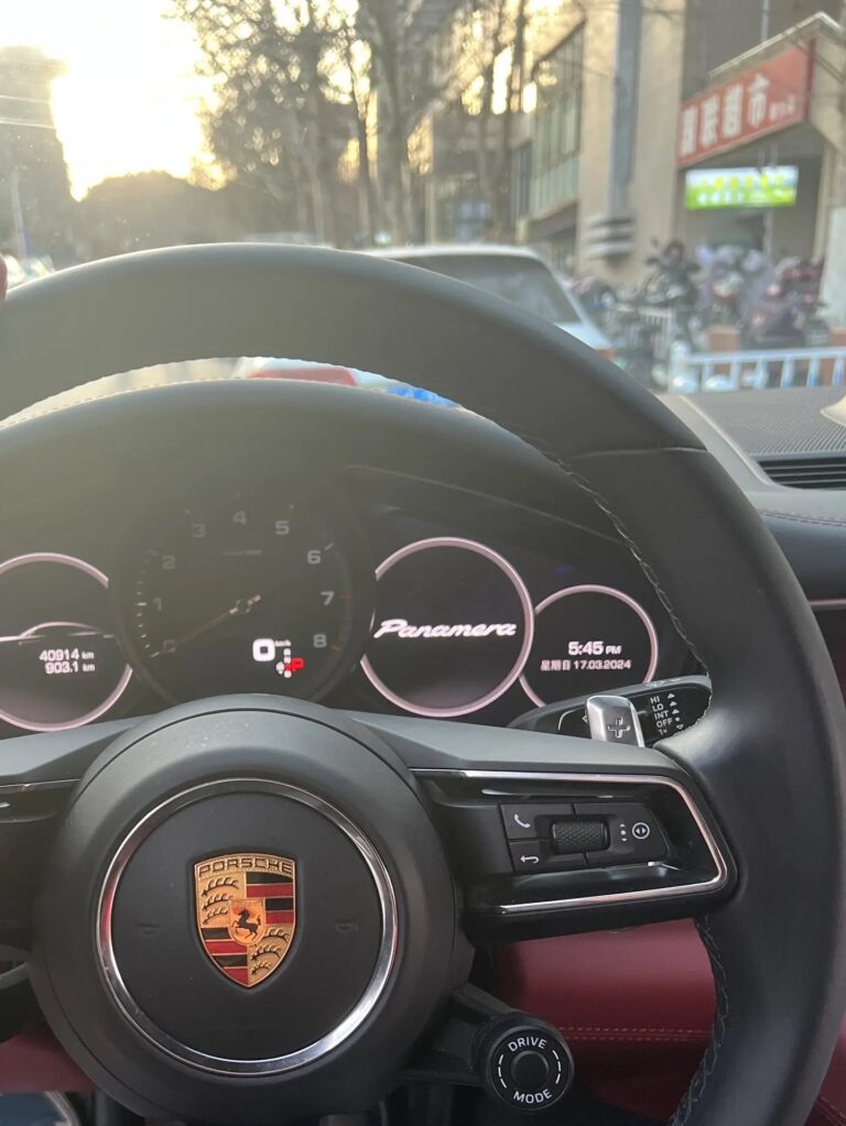 开车沿途风景第一视角视频素材