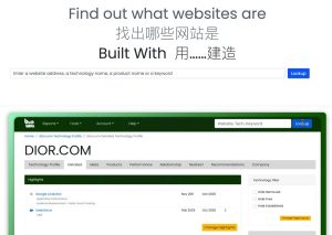 网站技术分析神器